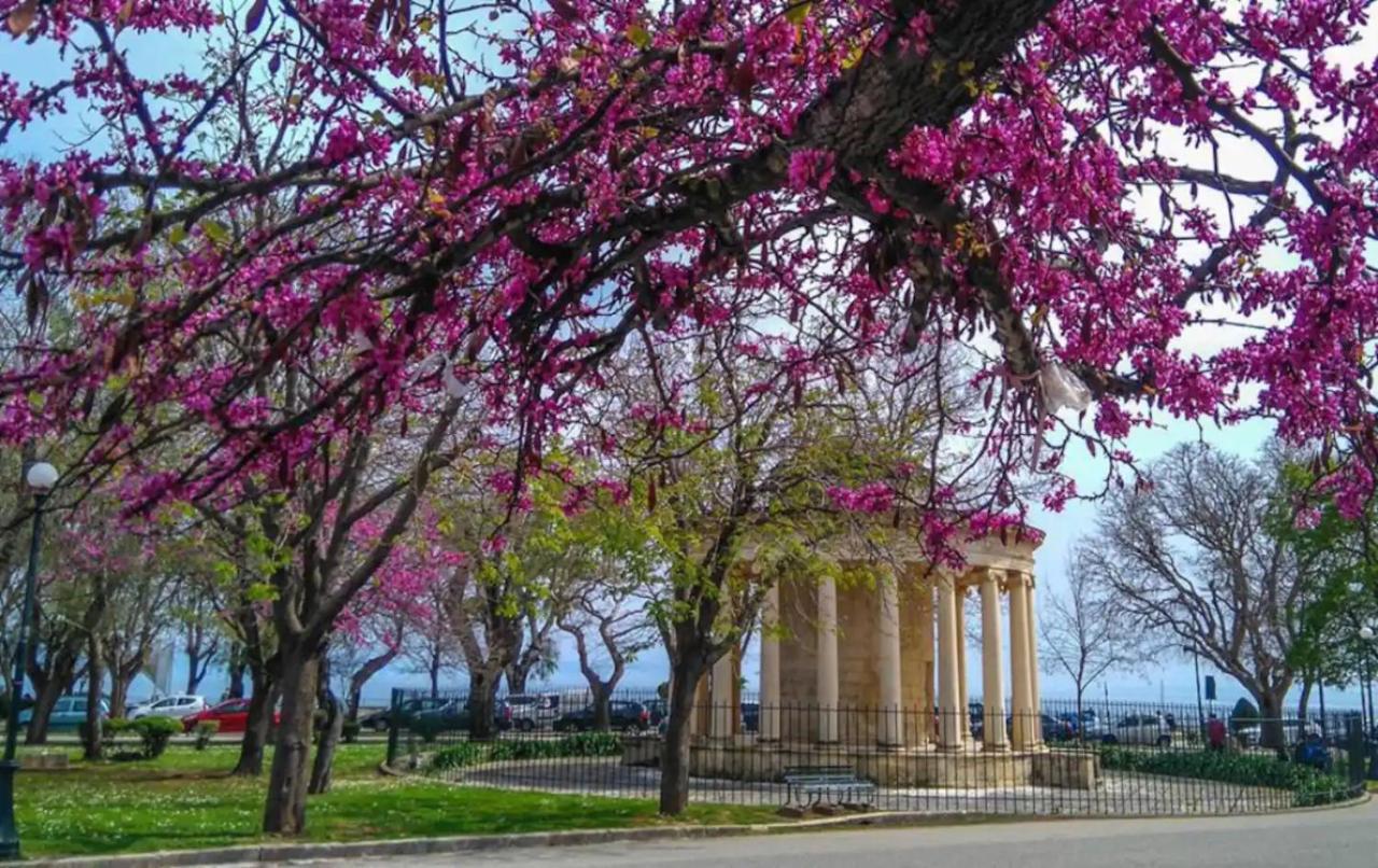 Corfu Studio In Historic Unesco City Centre Dış mekan fotoğraf